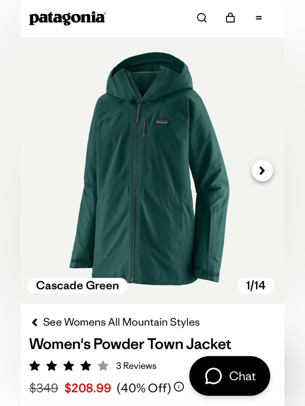 Patagonia Powder Town Ski Coat